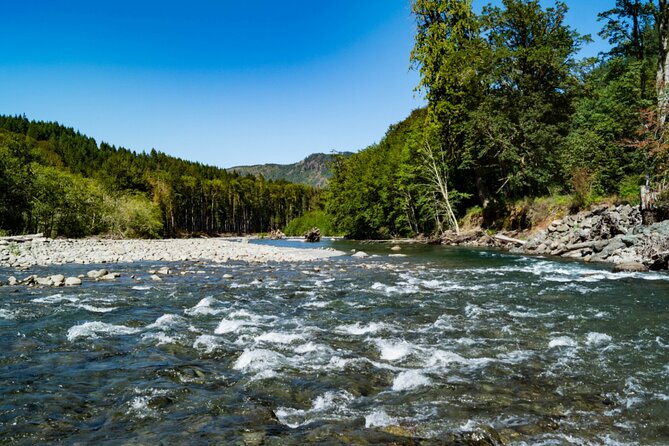 Olympic National Park Self-Guided Driving Audio Tour - Stops 5 and 6: Lake Sutherland and Lake Crescent—slow down for water views