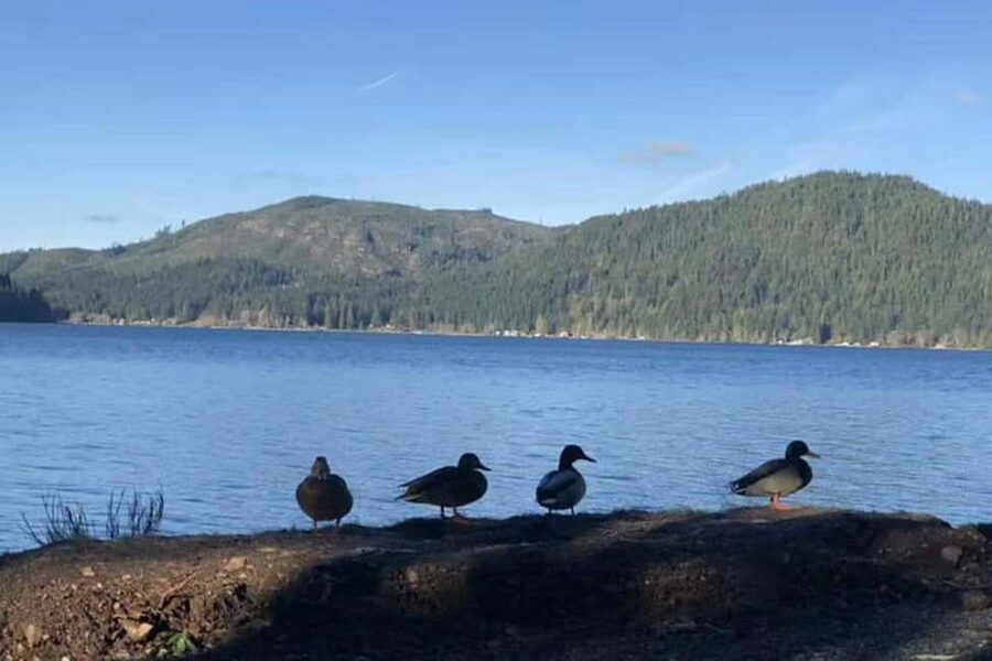 Olympic National Park Small Group Day Tour w/ State Ferries - Seattle to Bainbridge: that ferry start you’ll actually enjoy