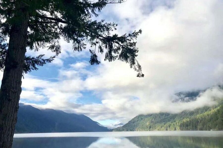 Olympic National Park Small Group Day Tour w/ State Ferries - Should you book this Olympic National Park Small Group Day Tour?