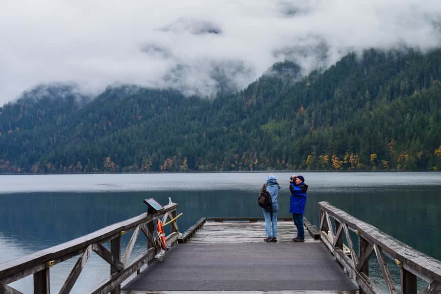 Olympic National Park: Sol Duc and Hurricane Ridge Tour - Sol Duc Falls: Old-Growth Forest Meets a Proper Waterfall Hike