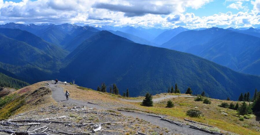 Olympic National Park: Sol Duc and Hurricane Ridge Tour - The Pace and What to Bring for a Real 9-Hour Day