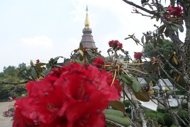 One day Doi Inthanon National Park & Trekking on Kew Mae Pan - Price and value: what you’re paying for at $161.99