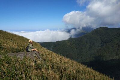 One Day Hike around Taipei's Yangmingshan National Park - Qingtiangang Grassland: The Warmup With Water Buffaloes