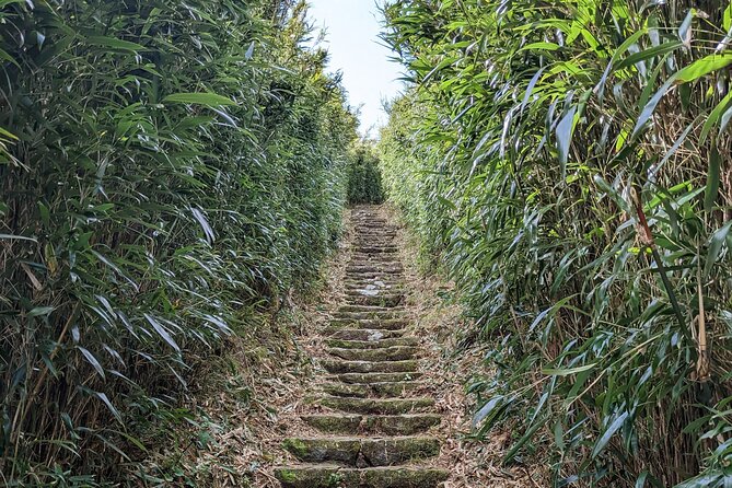 One Day Hike around Taipei's Yangmingshan National Park - Pace, Stairs, and Weather: The Real-World Stuff