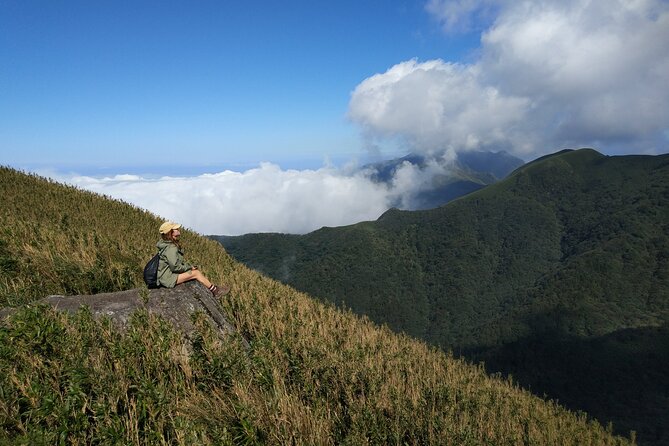 One Day Hike around Taipei's Yangmingshan National Park - Qingtiangang Grassland: The Warmup With Water Buffaloes