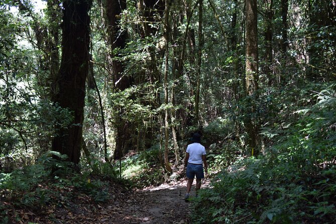 One Day Inthanon National Park (Private Tour) - Doi Inthanon: Thailand’s highest point, with views that reset your brain