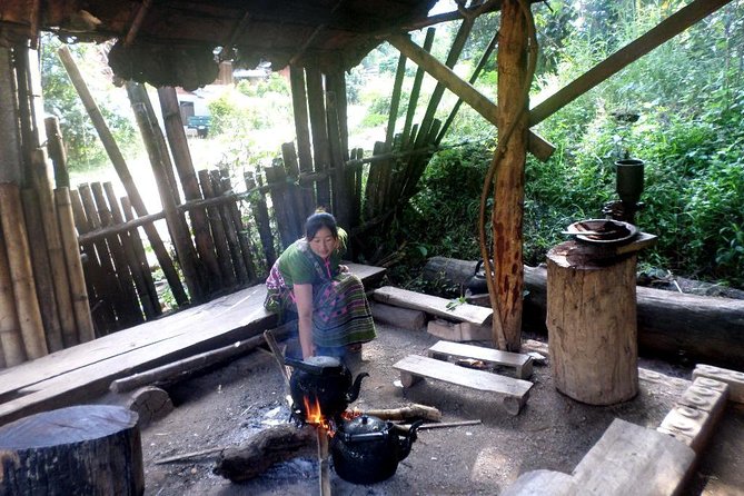 One Day Inthanon National Park (Private Tour) - The guides matter: English explanations that keep you grounded