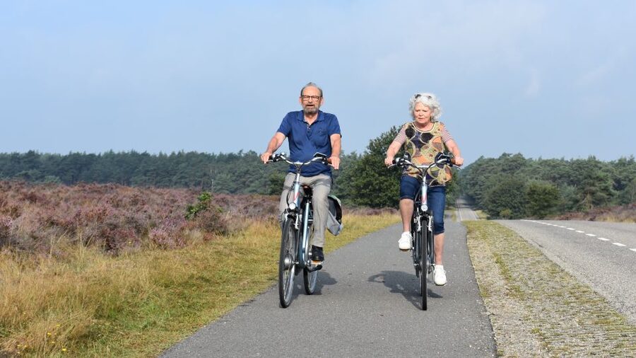 Otterlo: De Hoge Veluwe National Park Entry & E-bike - Why De Hoge Veluwe by e-bike from Otterlo works so well
