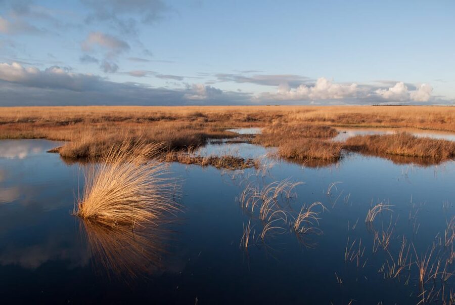 Otterlo: De Hoge Veluwe National Park Entry Ticket - Key points that make De Hoge Veluwe easy (and fun)