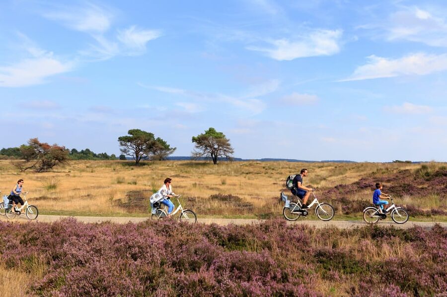 Otterlo: De Hoge Veluwe National Park Entry Ticket - Cycling through forests, heath fields, and sand flats: pacing your 1-day route