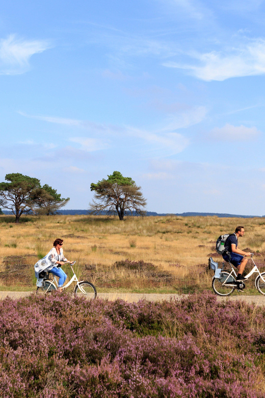 Otterlo: De Hoge Veluwe National Park Entry Ticket - Animal and bird watching areas: use luck, not wishful thinking