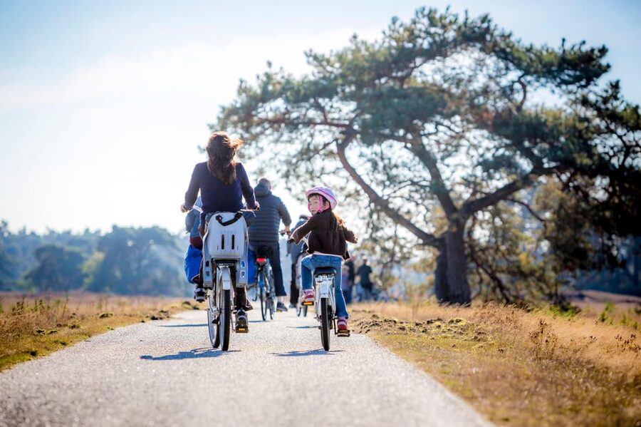 Otterlo: De Hoge Veluwe National Park Entry Ticket - Price and value: what $16 gets you, and what it doesn’t