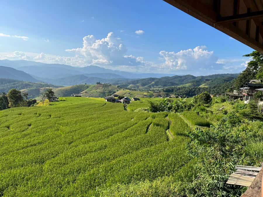 Pa Pong Piang Rice Terraces & Doi Inthanon National Park - Wachiratharn Waterfall: a cool-weather reward