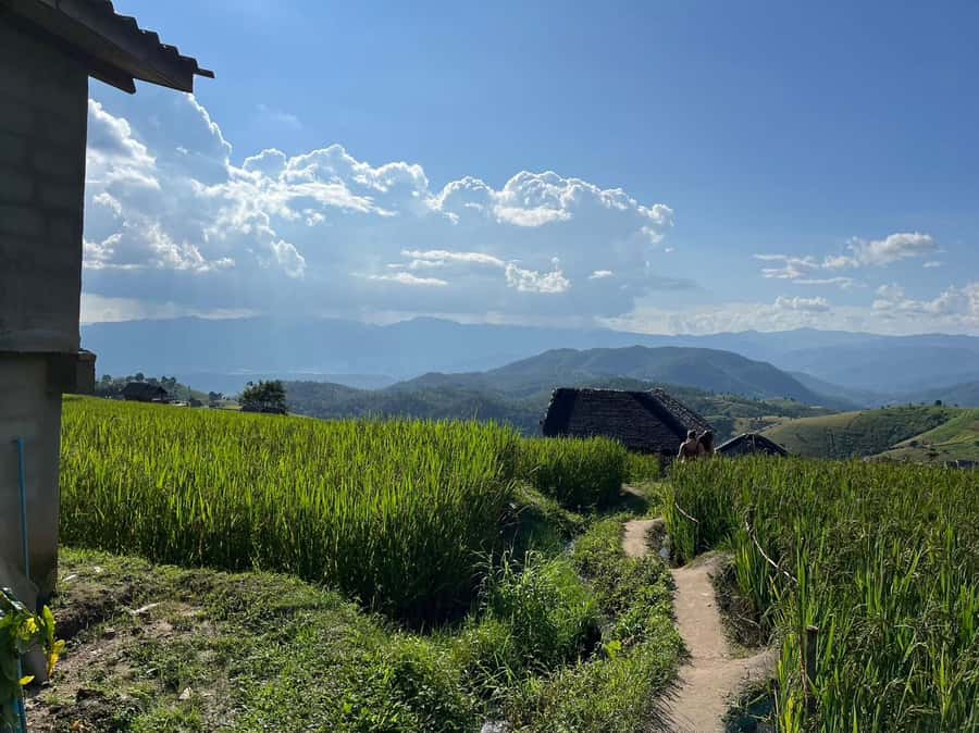 Pa Pong Piang Rice Terraces & Doi Inthanon National Park - Lunch inside the park and a 25-minute Ang Ga trail walk