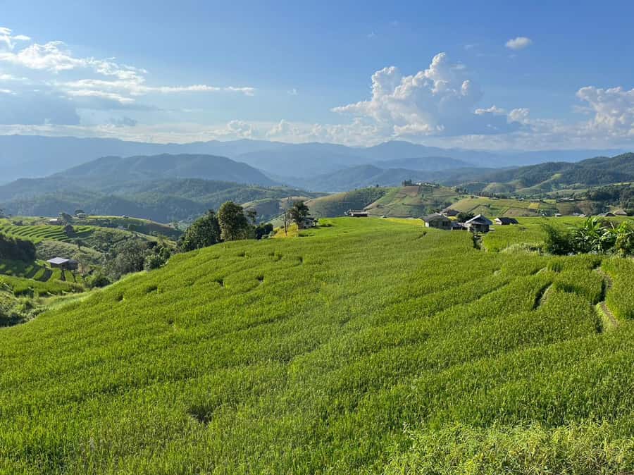 Pa Pong Piang Rice Terraces & Doi Inthanon National Park - Thailand’s highest peak: what “2,565 meters” means in real life