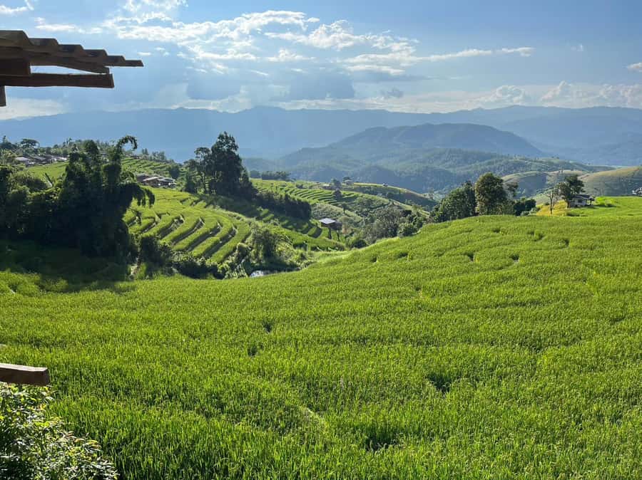 Pa Pong Piang Rice Terraces & Doi Inthanon National Park - Logistics and comfort: why this tour feels full