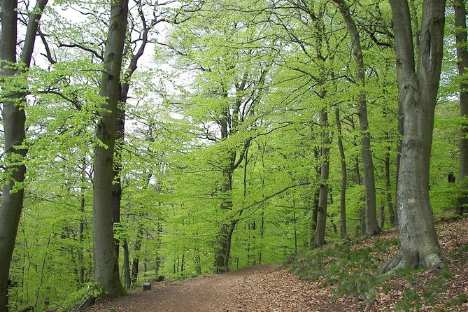 Paklenica National Park Admission Ticket - Key things to know before you buy