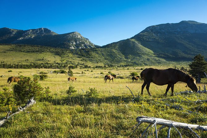 Paklenica National Park Admission Ticket - Paklenica National Park: what you’re actually paying for
