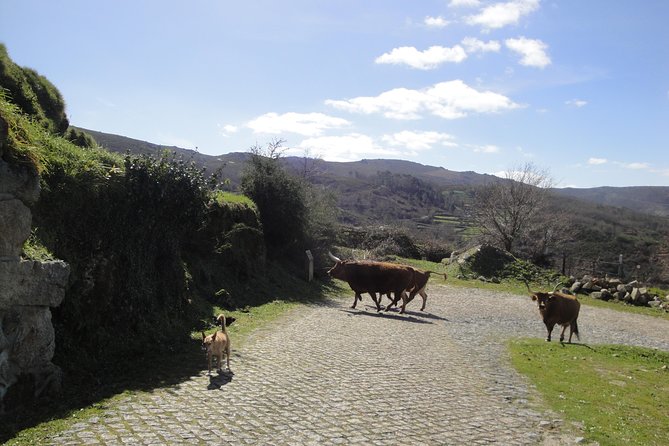 Peneda-Gerês National Park - A Time Travel Through The Mountains - - A mountain day that feels like different centuries