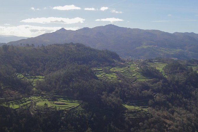 Peneda-Gerês National Park - A Time Travel Through The Mountains - - Picnic time: Minho flavors to close the day