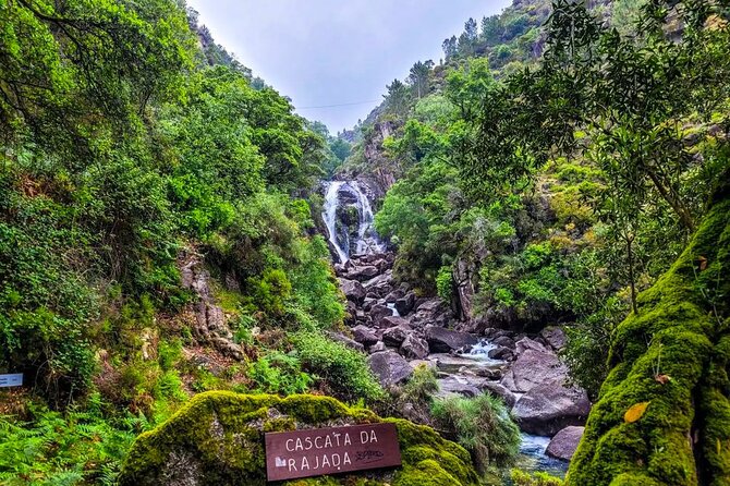 Peneda - Gerês National Park Lagoons and Waterfalls -Private Tour - A private day in Peneda–Gerês, not a rushed highlight run
