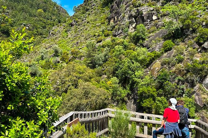 Peneda - Gerês National Park Lagoons and Waterfalls -Private Tour - Lagoons and waterfalls: what you’ll do once you’re in the park