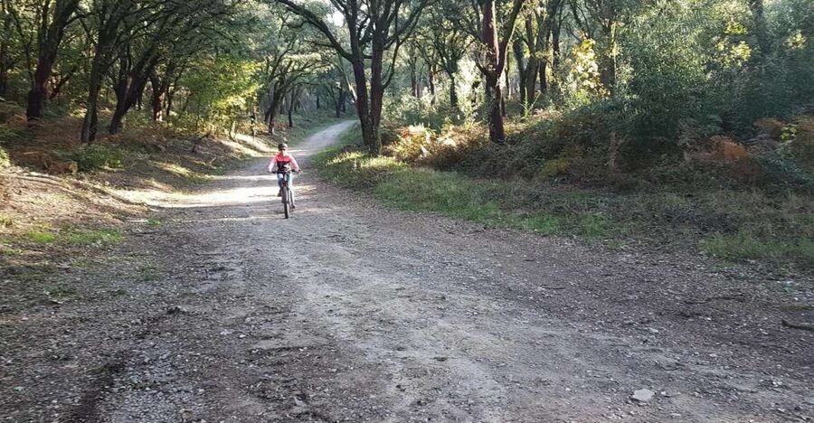 Peneda Gerês National Park: Self-Guided Electric Bike Tour - Peneda-Gerês on an e-bike: why this tour works