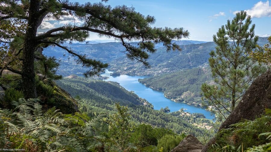 Peneda Gerês National Park: Self-Guided Electric Bike Tour - What kind of traveler should book this?