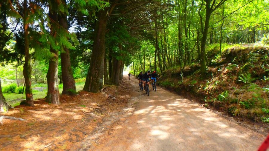 Peneda Gerês National Park: Self-Guided Electric Bike Tour - Should you book the Peneda-Gerês electric bike tour?