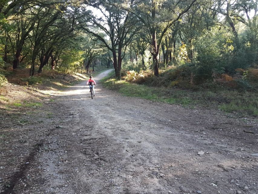 Peneda Gerês National Park: Self-Guided Electric Bike Tour - The e-bike setup you’re given (and why it matters)