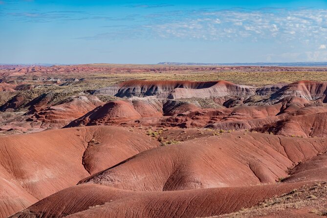 Petrified Forest National Park Self Guided Audio Driving Tour - Key Highlights You’ll Actually Feel During the Drive