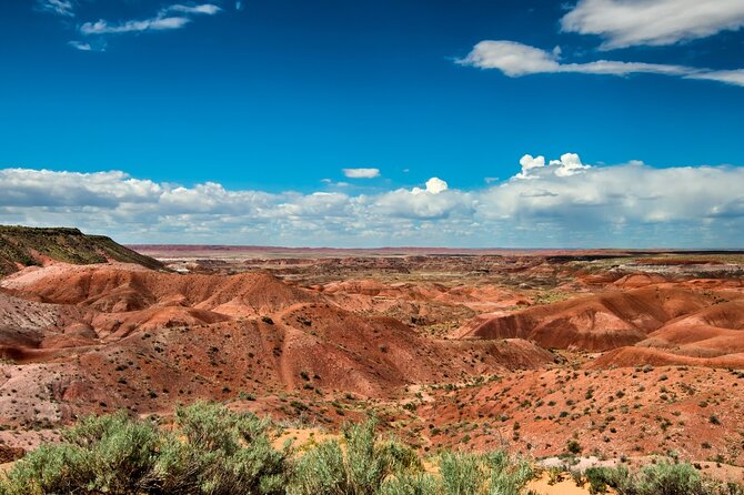 Petrified Forest National Park Self Guided Audio Driving Tour - Who This Audio Tour Fits Best