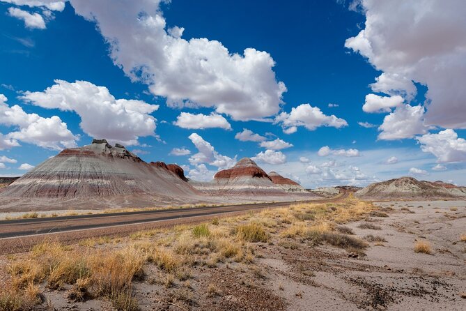 Petrified Forest National Park Self Guided Audio Driving Tour - Offline Setup That Actually Matters in Remote Arizona