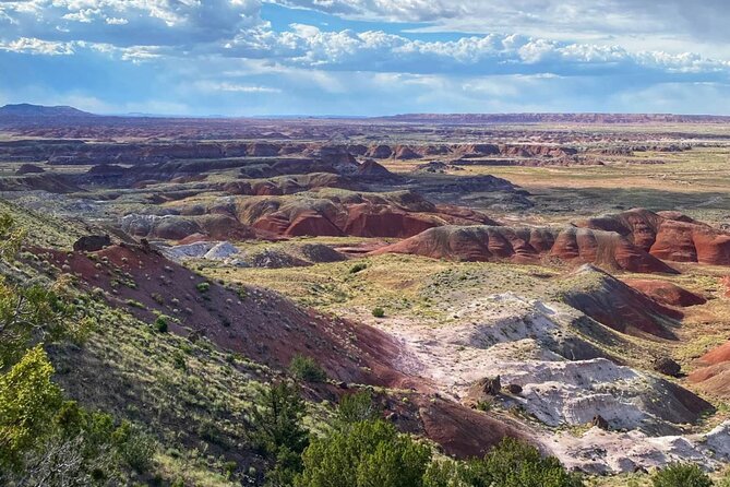 Petrified Forest National Park Self-Guided Driving Audio Tour - Your route rhythm: pacing across long distances without getting lost