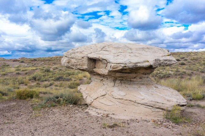 Petrified Forest National Park Self-Guided Driving Audio Tour - Pintado Point and the meaning of Nizhoni