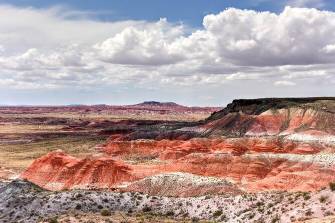 Petrified Forest National Park Self-Guided Driving Audio Tour - Blue Mesa Trail, petroglyphs, and the walk lengths that match your energy