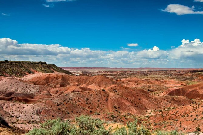 Petrified Forest National Park Self-Guided Driving Audio Tour - Route 66 in the park: Americana meets badlands