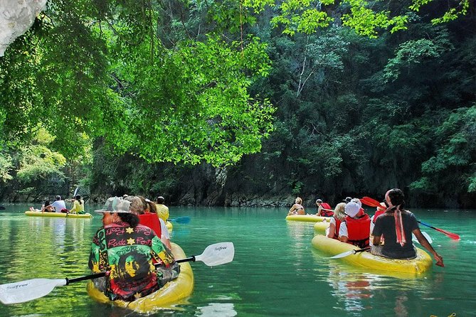 Phang Nga Bay National Park Tour from Phuket including Sea Cave Canoeing - What the Crowd and Food Feedback Means for Your Trip