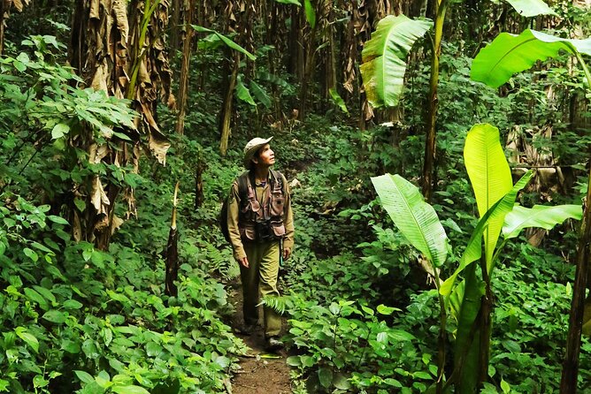 Phuket Jungle Trekking Experience at Khao Phra Taew National Park - Key Highlights You’ll Actually Feel