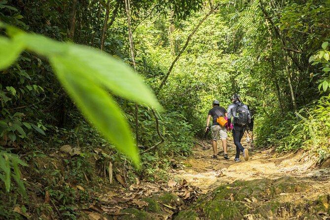 Phuket Jungle Trekking Experience at Khao Phra Taew National Park - Khao Phra Taew Starts With a Proper Morning Plan