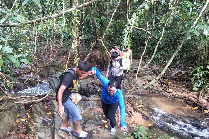 Phuket Jungle Trekking Experience at Khao Phra Taew National Park - Wildlife Spots: What You Can Expect to See