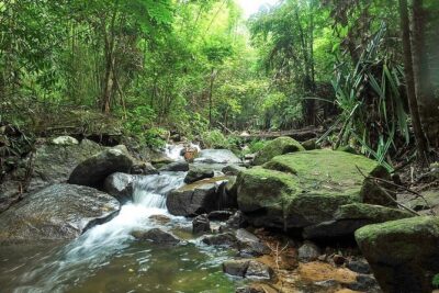 Phuket Jungle Trekking Experience at Khao Phra Taew National Park - Tonsai Waterfall: The Best Payoff Stop