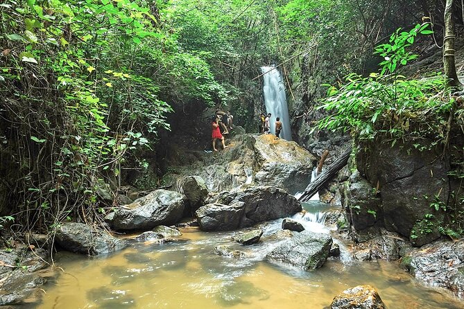 Phuket Jungle Trekking Experience at Khao Phra Taew National Park - National Park Fee and Transfers: Where the Value Comes From