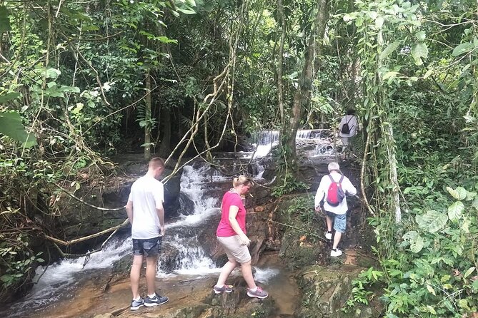 Phuket Jungle Trekking Experience at Khao Phra Taew National Park - How Hard Is It, Really? Pace, Heat, and Footing