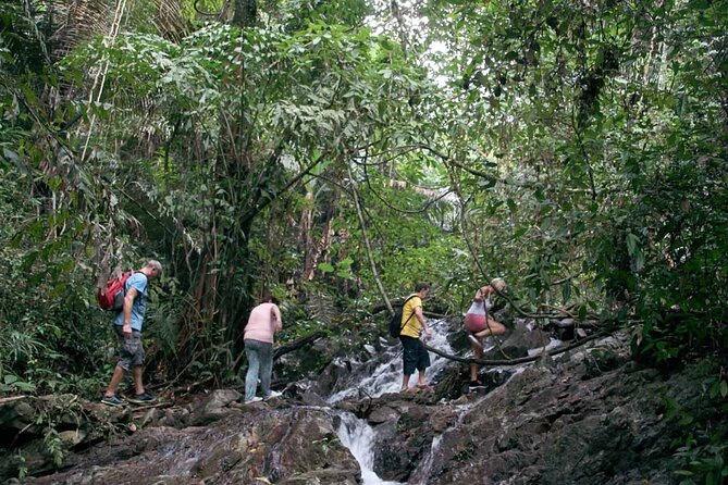 Phuket Jungle Trekking Experience at Khao Phra Taew National Park - Weather and Route Changes: Don’t Fight the Jungle