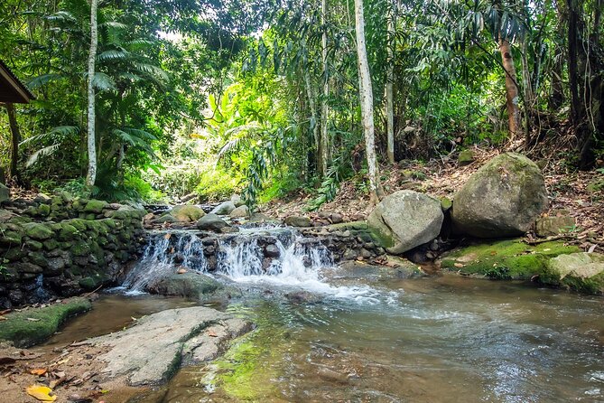Phuket Jungle Trekking Experience at Khao Phra Taew National Park - Who This Tour Fits Best