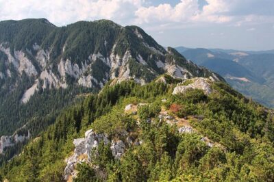 Piatra Craiului National Park Private Hiking Tour from Brasov - Meeting at George Barițiu County Library and the drive to the trailhead
