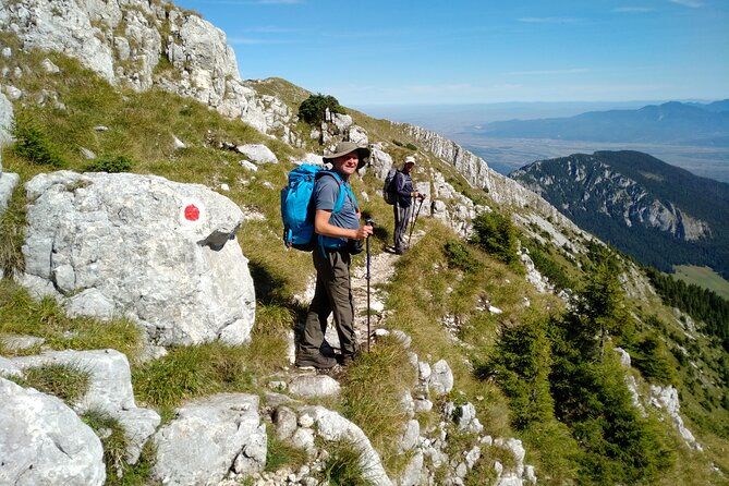 Piatra Craiului National Park Private Hiking Tour from Brasov - What you’ll do on the mountain: gorges, forests, pastures, and a lunch pause