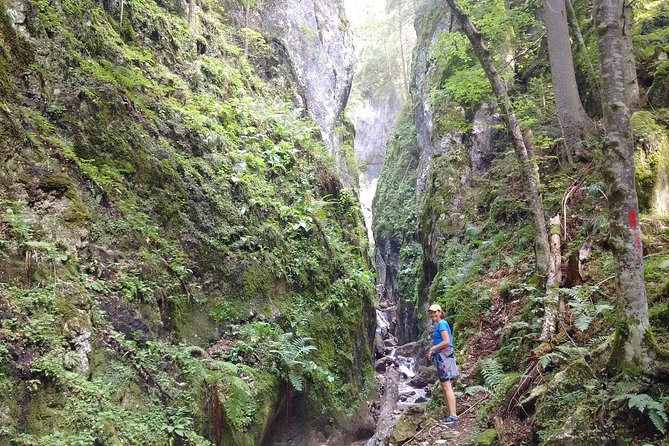 Piatra Craiului National Park Private Hiking Tour from Brasov - When Bran Castle fits: Dracula lore, Gothic halls, and real stairs