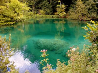 Plitvice Lakes National Park: Private Tour from Zadar - Upper and Lower Lakes on Wooden Trails: The Core Plitvice Experience